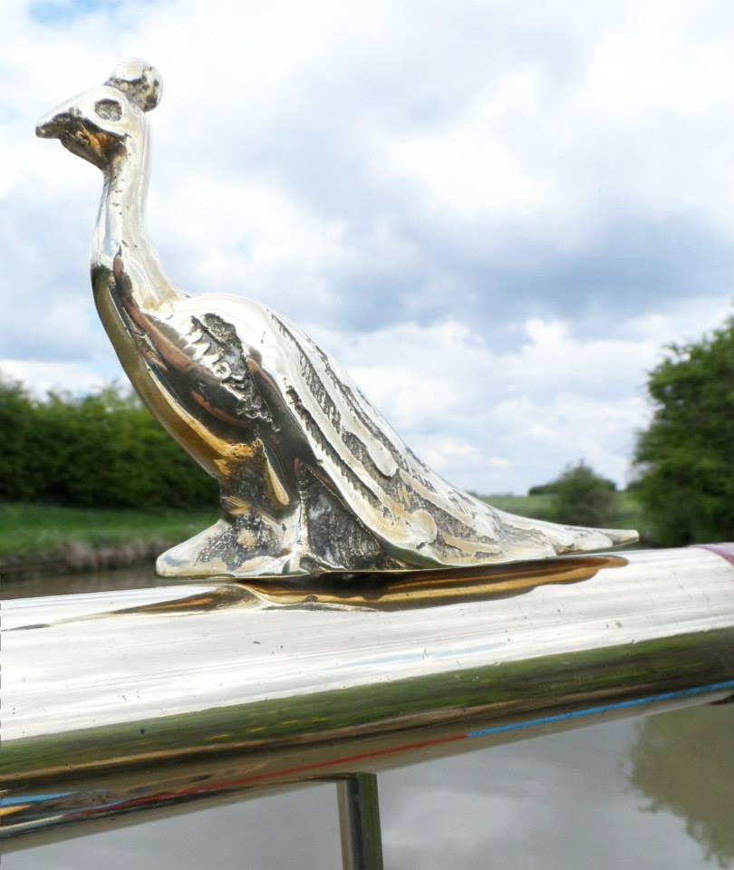 Peacock Tiller Pin (image for) Peacock Tiller Pin