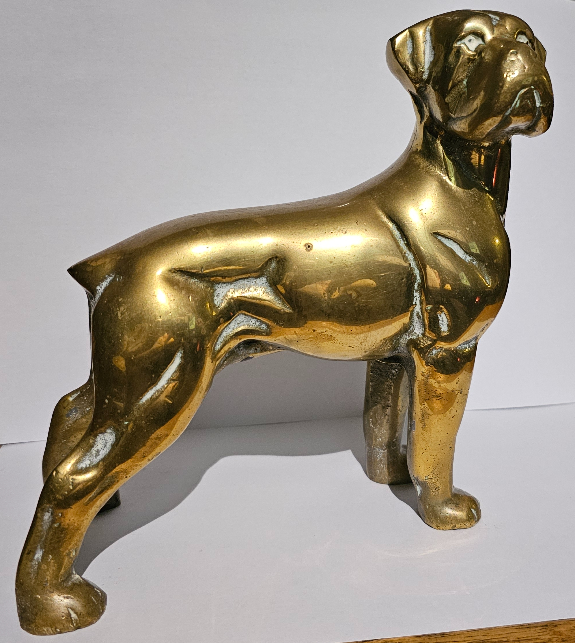 Boxer Tiller Pin (image for) Boxer Tiller Pin