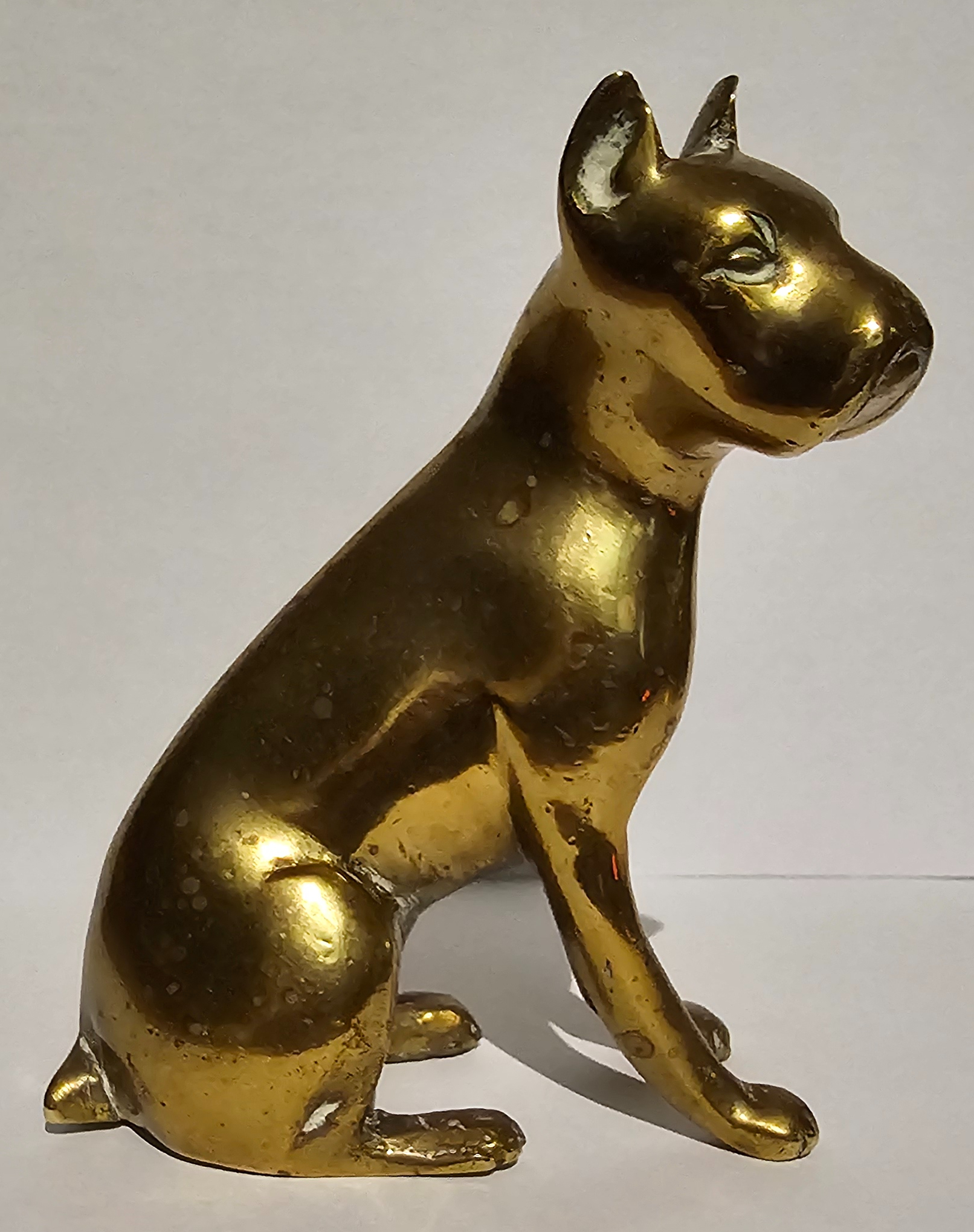 Boxer Tiller Pin (image for) Boxer Tiller Pin