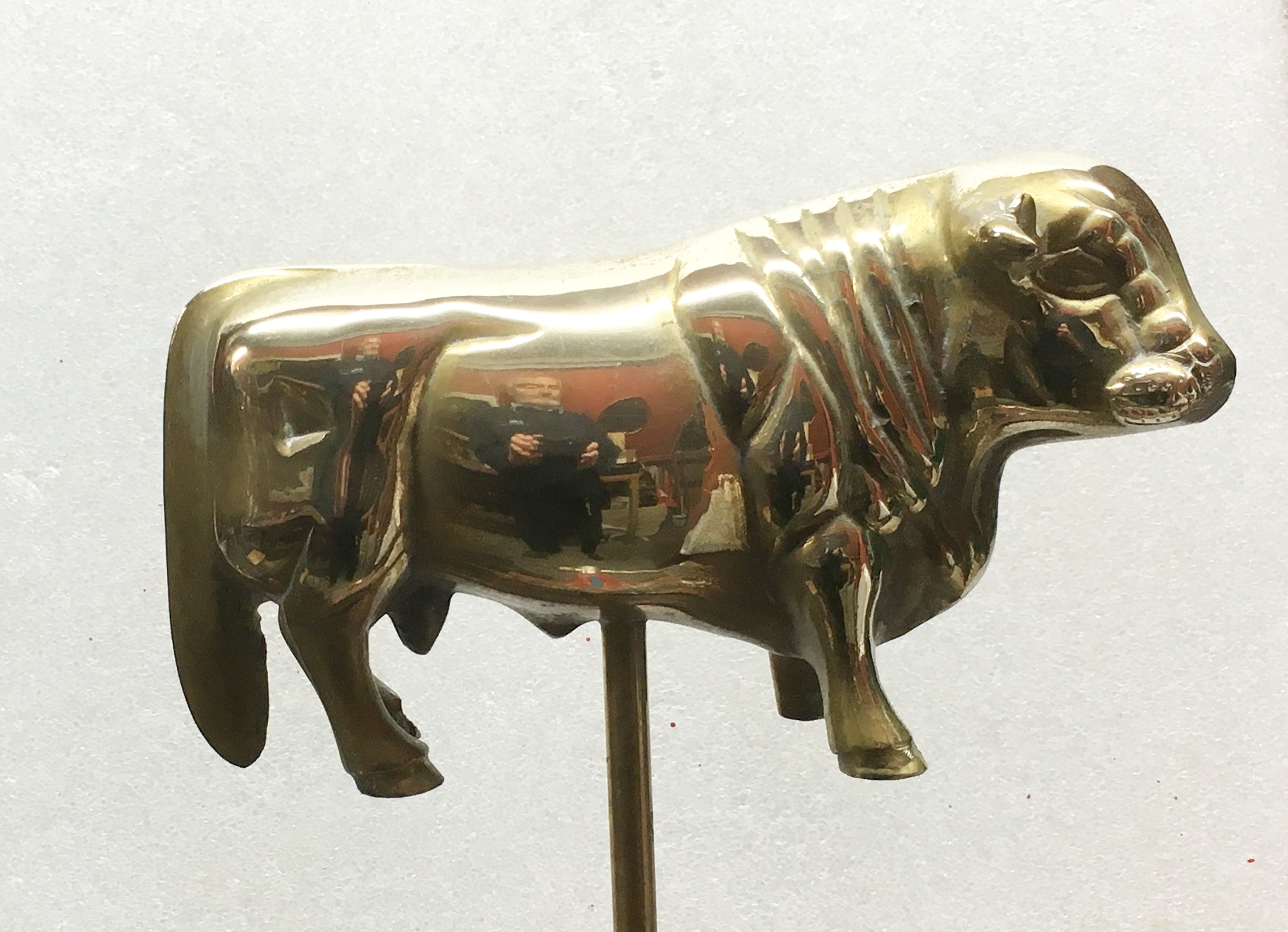 Bull Tiller Pin (image for) Bull Tiller Pin