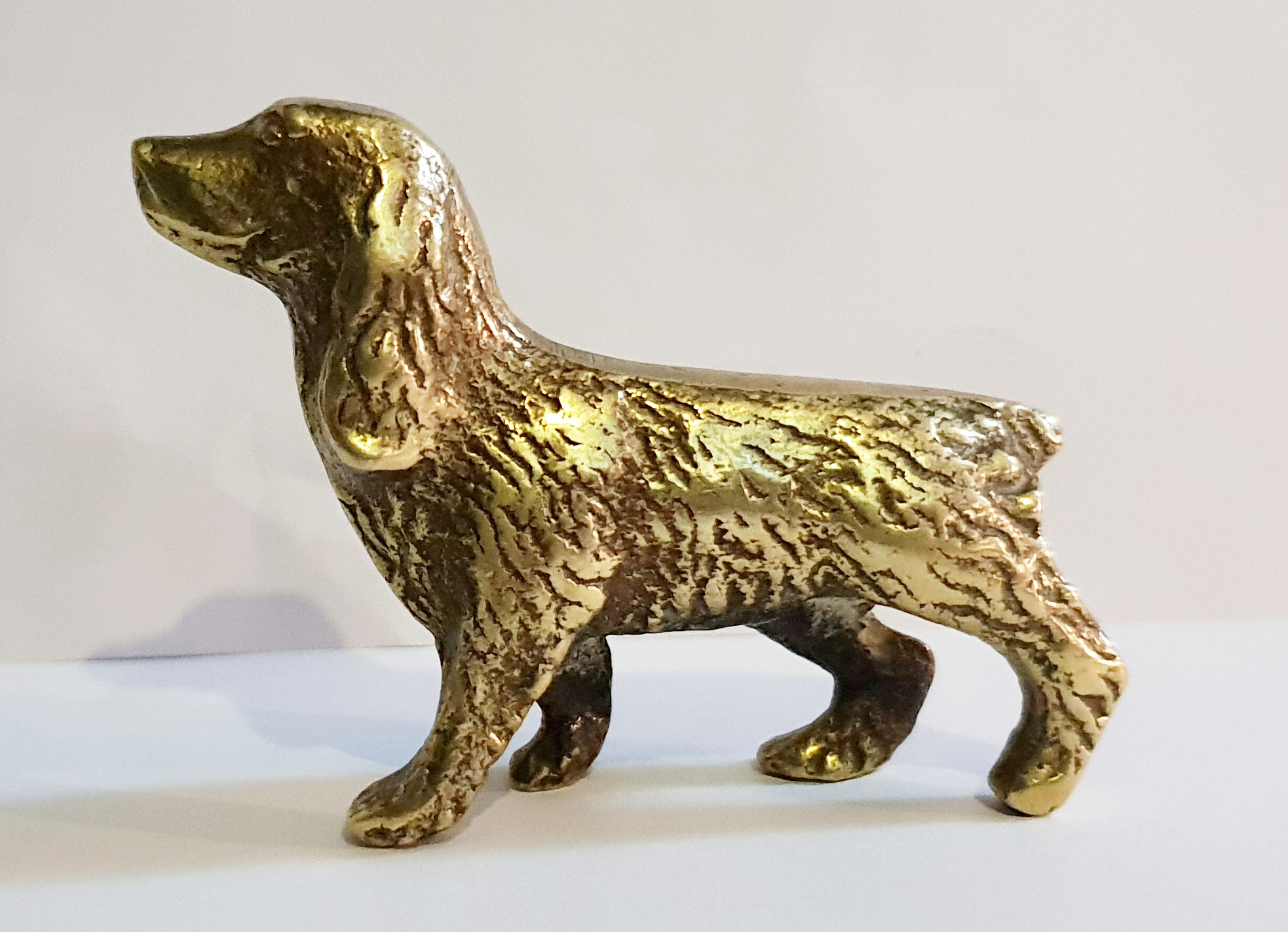 Cocker Spaniel (image for) Cocker Spaniel