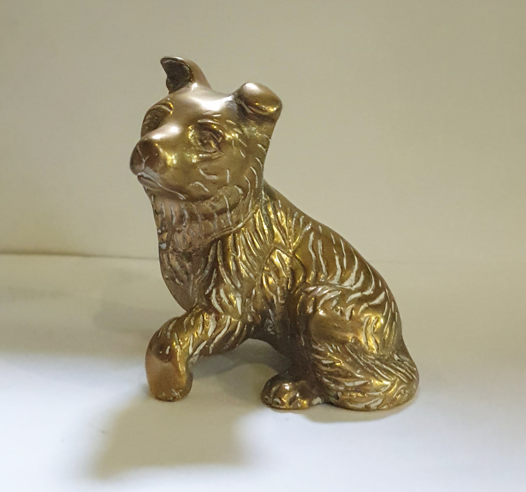 Puppy Dog (image for) Puppy Dog