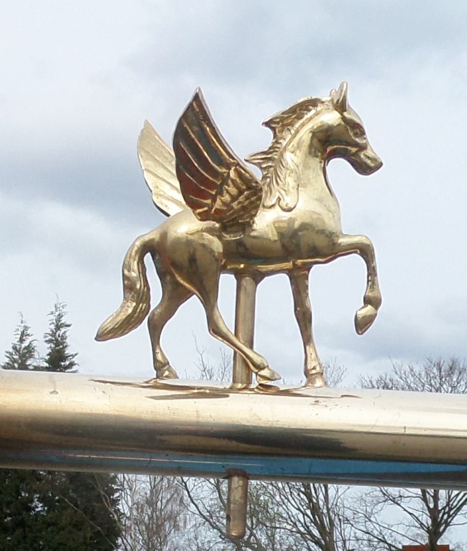 Pegasus Tiller Pin (image for) Pegasus Tiller Pin