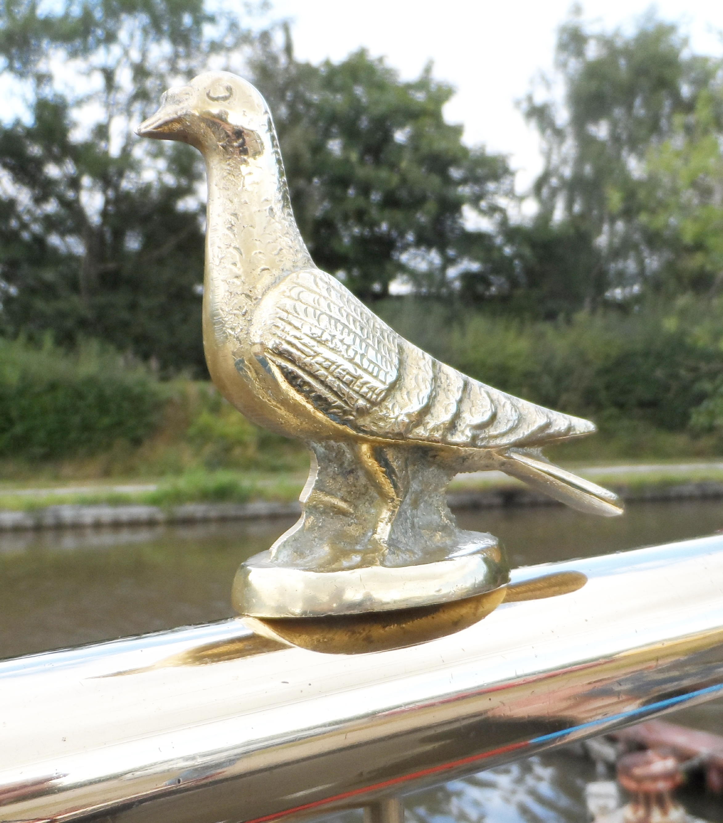 Pigeon Tiller Pin (image for) Pigeon Tiller Pin