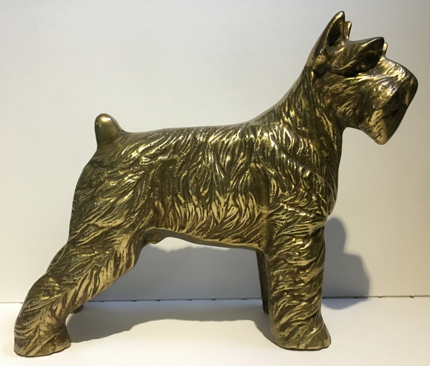 Fox Terrier (image for) Fox Terrier