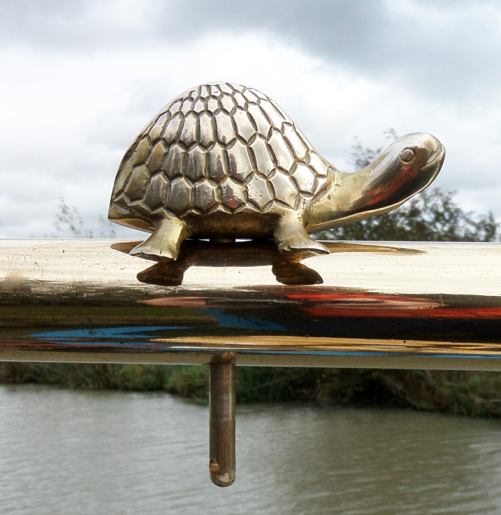 Tortoise Tiller Pin (image for) Tortoise Tiller Pin